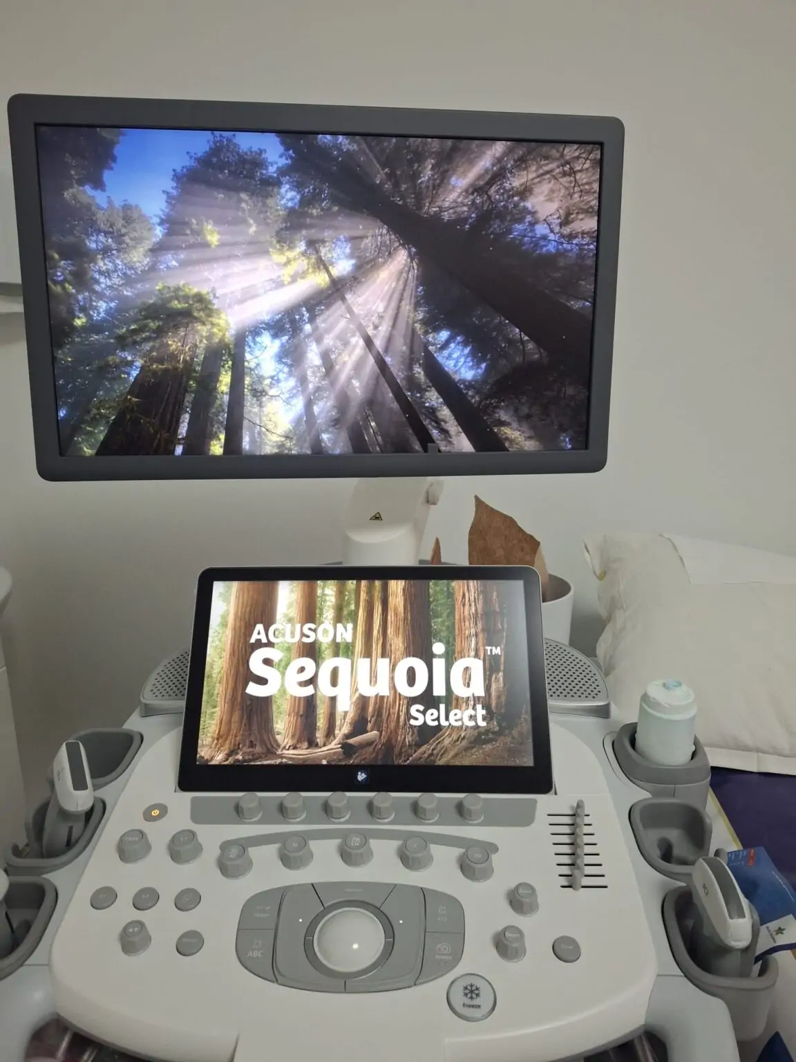 Ecograf Siemens ACUSON Sequoia Select disponibil la Centrul Medical Sanocare